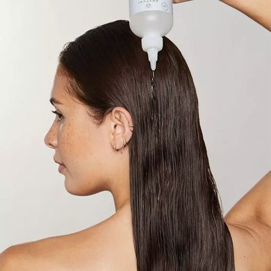 Засіб для зволоження та блиску волосся Paul Mitchell Awapuhi Wild Ginger HydraSoft Glossing Treatment 236 мл - основне фото