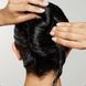 Засіб для зволоження та блиску волосся Paul Mitchell Awapuhi Wild Ginger HydraSoft Glossing Treatment 236 мл - додаткове фото