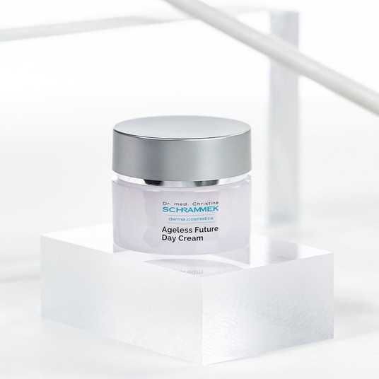 ᐉ Dr. Schrammek Ageless Future Day Cream 50 мл - купить в