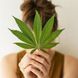 Крем для массажа с каннабиноидами GlyMed Plus CBD Massage Cream 100 мл - дополнительное фото