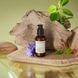 Разглаживающая сыворотка Perricone MD Hypoallergenic Clean Correction Smoothing Restorative Serum 59 мл - дополнительное фото