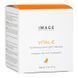 Ночная маска с витамином C Image Skincare Vital C Hydrating Overnight Masque 57 г - дополнительное фото