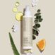Несмываемый кондиционер для волос Paul Mitchell Clean Beauty Everyday Leave-In Treatment 150 мл - дополнительное фото