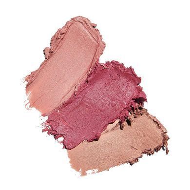 Набор румян/бальзамов для губ ColoreScience Sunforgettable Total Protection Color Balm SPF 50 Multipack - основное фото