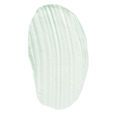 Яблучна маска краси для жирної та комбінованої шкіри Christina Sea Herbal Beauty Mask Green Apple 60 мл - основне фото
