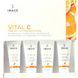 Зволожуючий набір мініатюр для обличчя Image Skincare Vital C Trial Kit - додаткове фото
