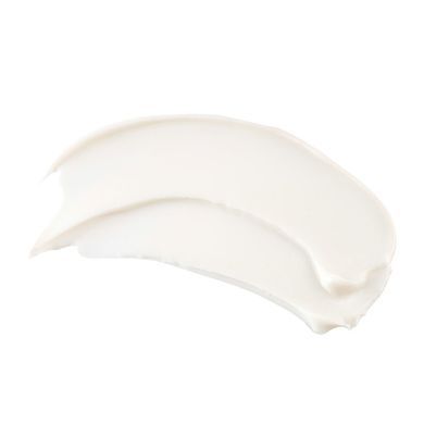 Сонцезахисний крем SPF 40 TiZO Photoceutical Skincare AM Replenish Non-Tinted SPF 40 50 г - основне фото