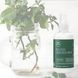 Спрей-кондиціонер для волосся Paul Mitchell Tea Tree Lavender Mint Conditioning Leave-In Spray 200 мл - додаткове фото