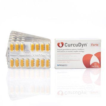 Диетическая добавка для поддержки иммунитета Metagenics CurcuDyn Forte 90 капсул - основное фото