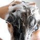 Шампунь насичений молекулярним CO2 Dr. Medion Head SPA Shampoo 200 мл - додаткове фото
