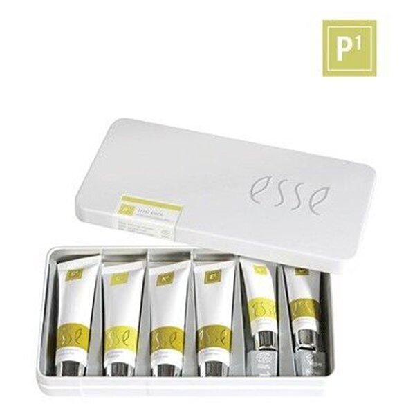 Пробный набор для жирной и комбинированной кожи ESSE Oily and Combination Trial Pack Various P1 - основное фото