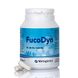 Диетическая добавка для ЖКТ Metagenics FucoDyn 90 капсул - дополнительное фото