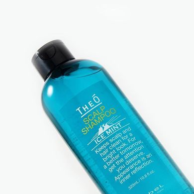 Охолоджувальний шампунь для чоловіків Lebel TheO Scalp Shampoo Ice Mint 320 мл - основне фото