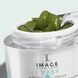 Очищувальна маска з пробіотиками Image Skincare I Mask Purifying Probiotic Mask 57 г - додаткове фото