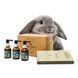 Набір для інтенсивного лікування випадіння волосся Emmebi Italia BioNature Intensive Home Treatment Kit - додаткове фото