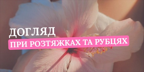 Банер 3