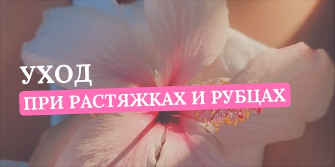 Банер 3
