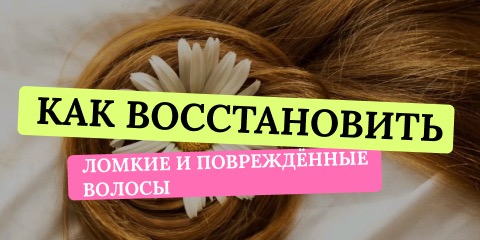 Банер 4